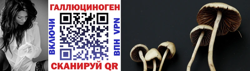 Галлюциногенные грибы ЛСД  ссылка на мегу как войти  Ульяновск 