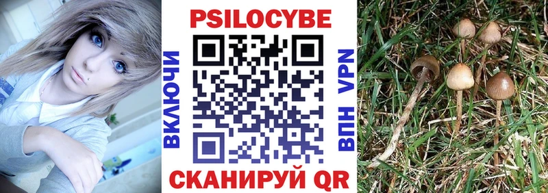 Псилоцибиновые грибы Psilocybe Ульяновск