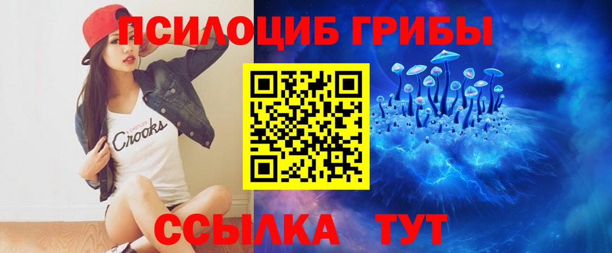 Галлюциногенные грибы MAGIC MUSHROOMS  Псилоцибиновые грибы Magic Shrooms  Ульяновск  Вход с VPN 